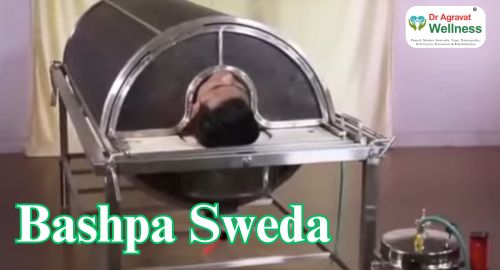 Bashpa Sweda Ayurvedic Treatment Clinic Dr Agravat Wellness Center Ahmedabad, Surat, Gujarat, India